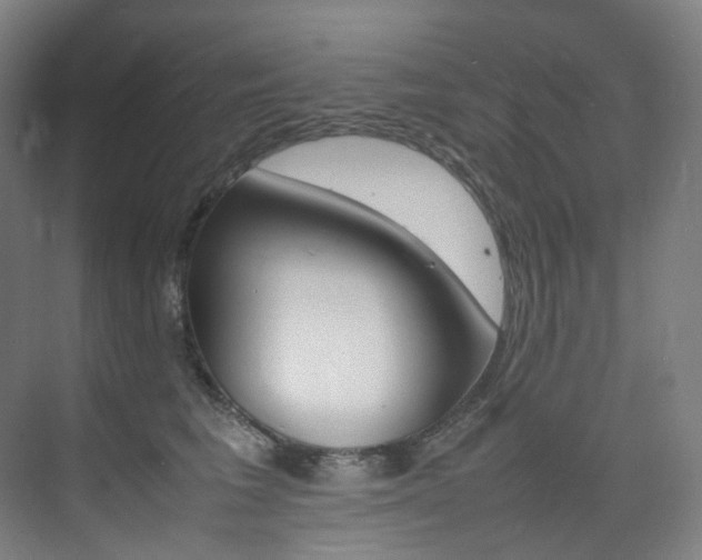 X0000075360613200609080840