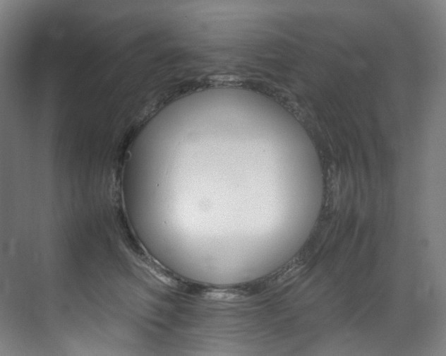 X0000075360614200609080840