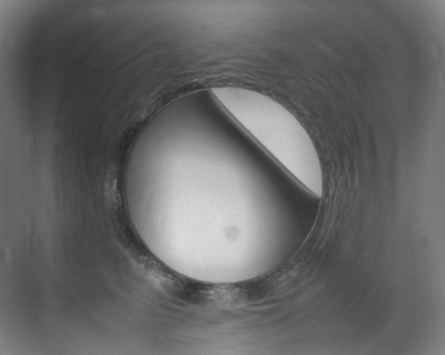 X0000075360615200609080840