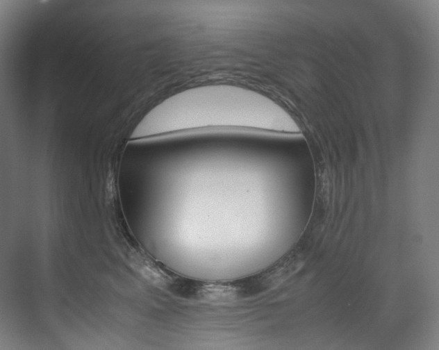 X0000075360617200609080840