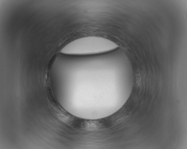 X0000075360618200609080840