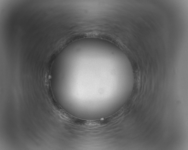 X0000075360619200609080840