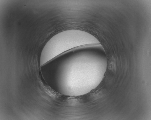 X0000075360620200609080840