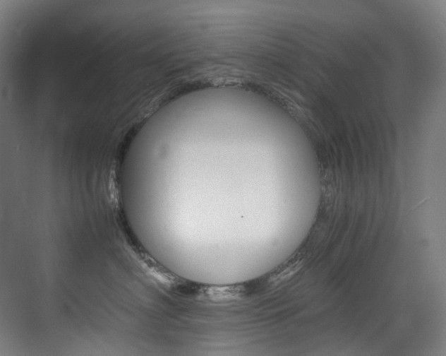 X0000075360622200609080840