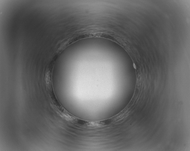 X0000075360623200609080840