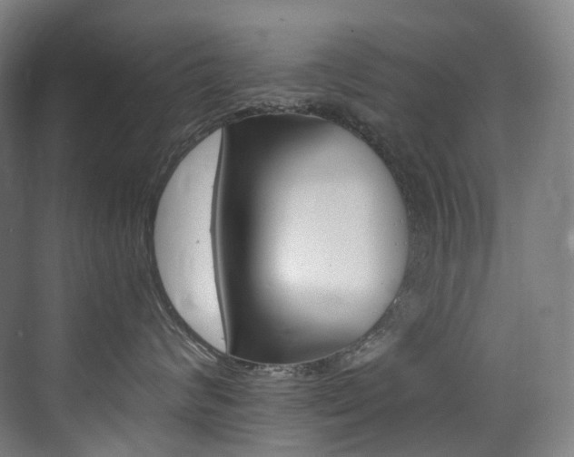 X0000075360624200609080840