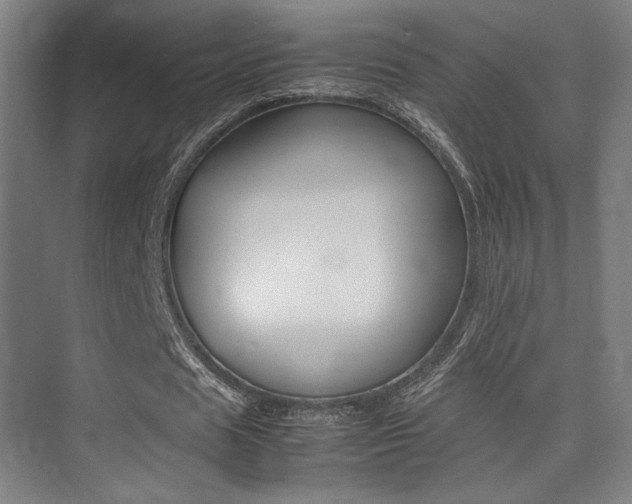 X0000075360625200609080839