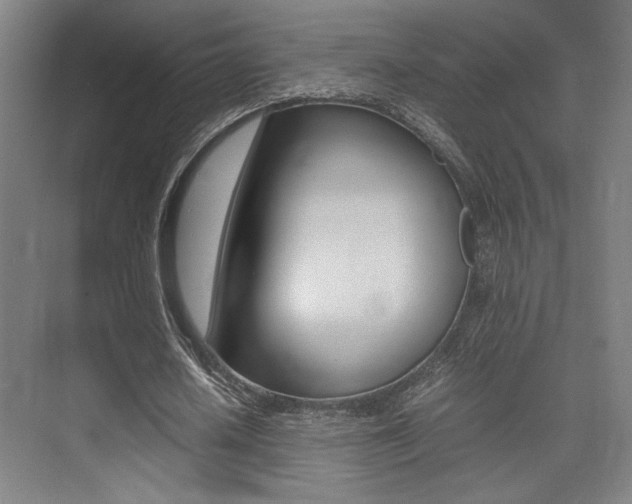 X0000075360626200609080839