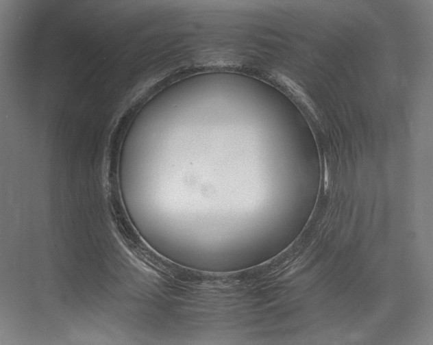 X0000075360627200609080839