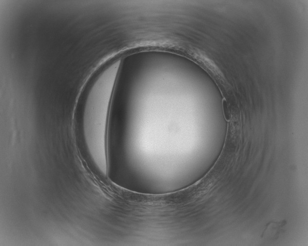 X0000075360628200609080839