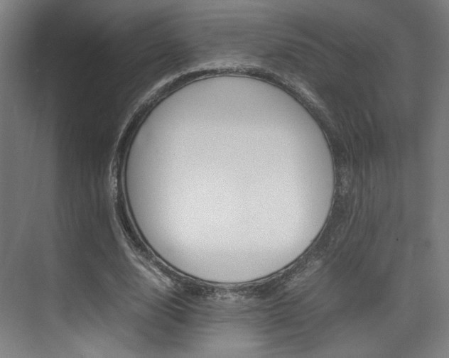 X0000075360632200609080839