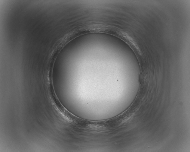 X0000075360633200609080839