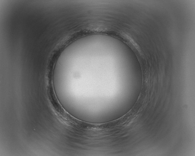 X0000075360635200609080839