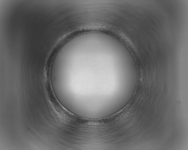X0000075360636200609080839