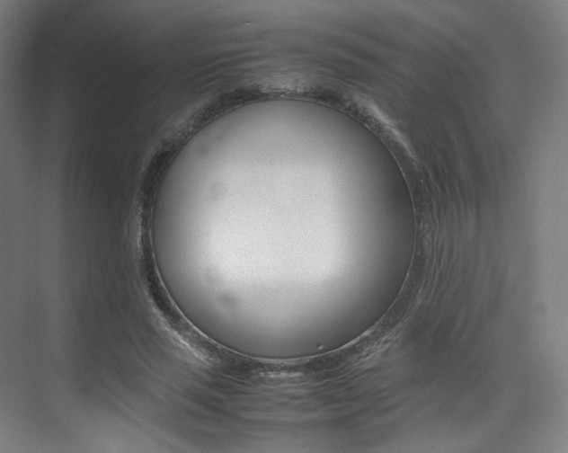 X0000075360637200609080839
