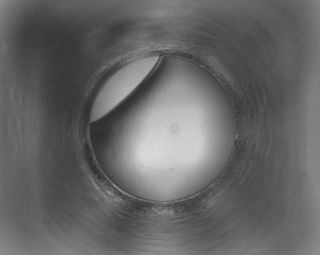 X0000075360640200609080839