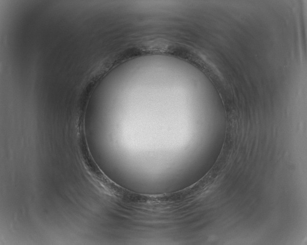 X0000075360641200609080839