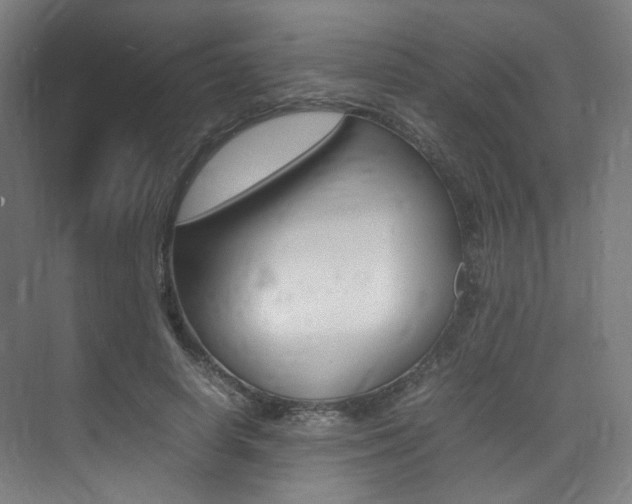 X0000075360642200609080839
