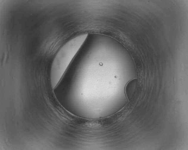 X0000075360644200609080840