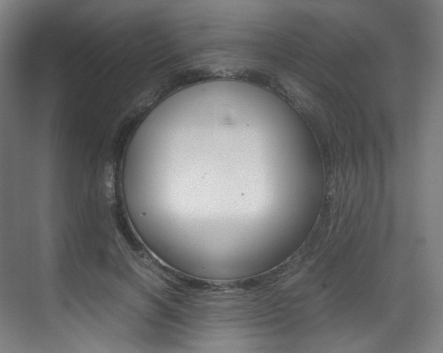 X0000075360646200609080840