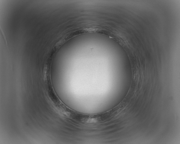 X0000075360647200609080840
