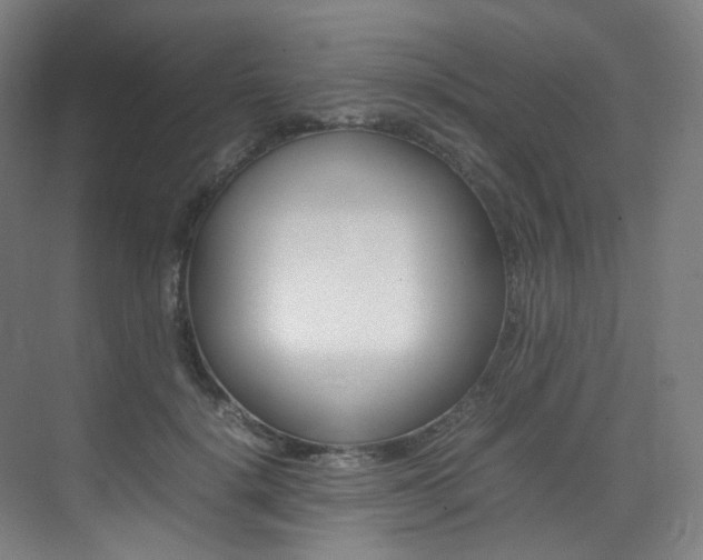 X0000075360652200609080840
