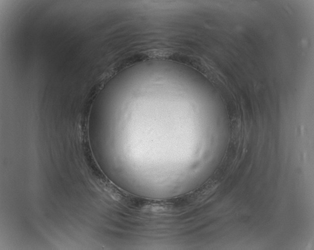X0000075360655200609080840