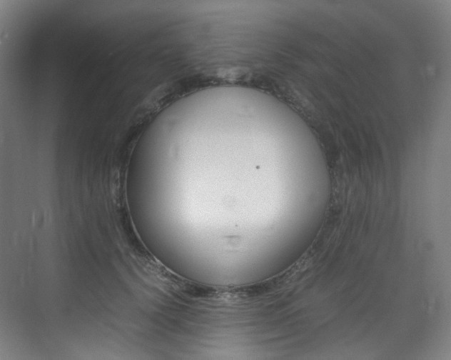 X0000075360656200609080840