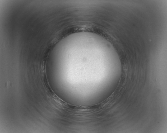 X0000075360657200609080840