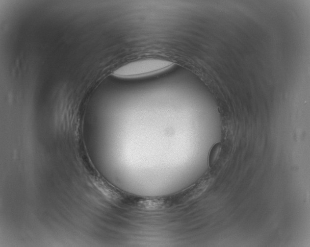X0000075360660200609080840