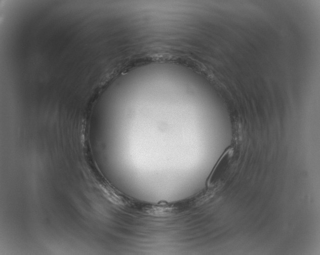 X0000075360664200609080840