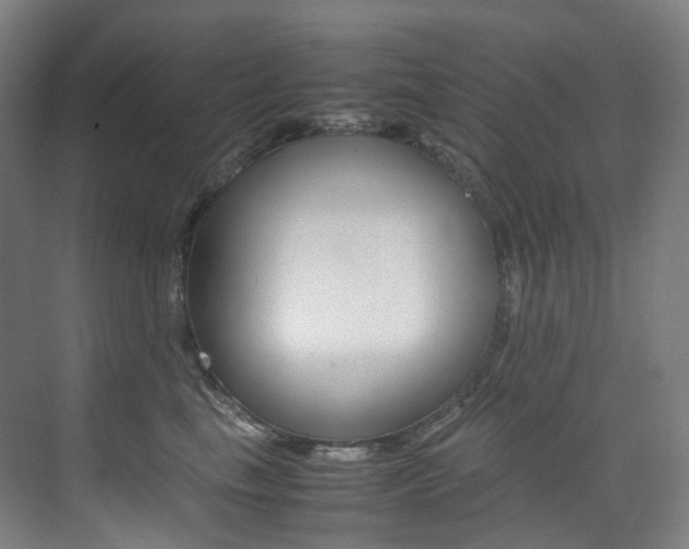 X0000075360665200609080840