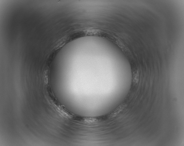 X0000075360666200609080840
