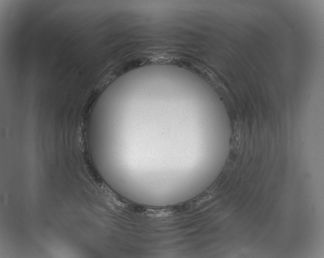 X0000075360667200609080840