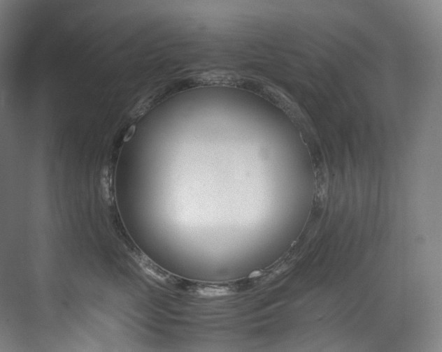 X0000075360669200609080840