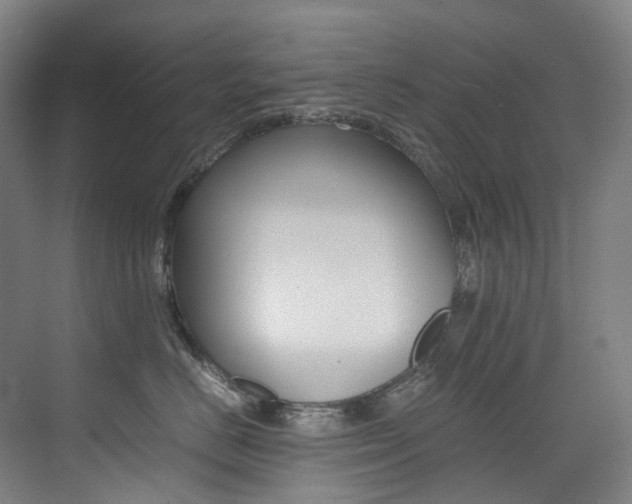 X0000075360670200609080840