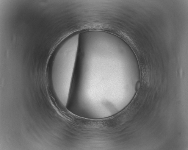 X0000075360674200609080839