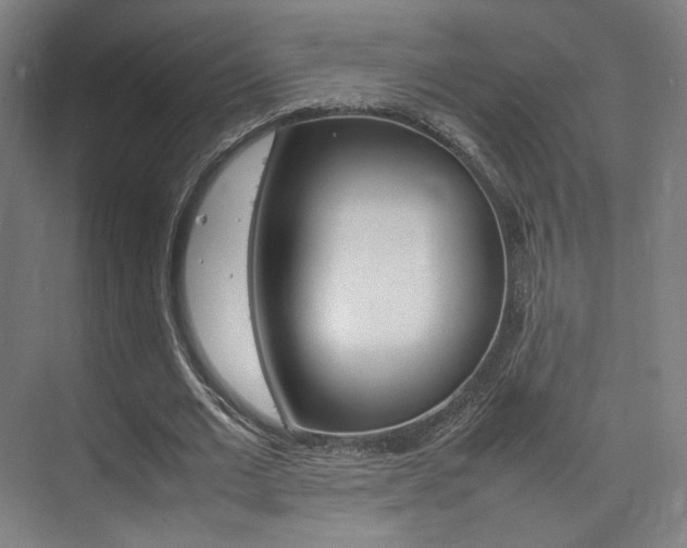 X0000075360677200609080839