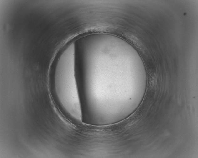 X0000075360678200609080839