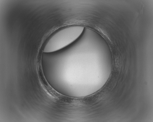X0000075360682200609080839
