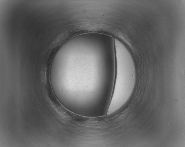X0000075360685200609080839