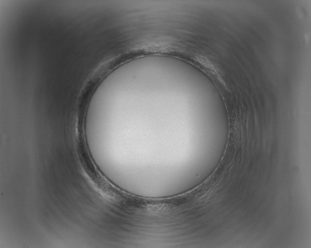 X0000075360686200609080839