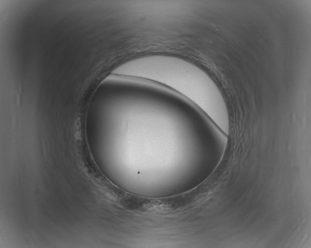 X0000075360689200609080839