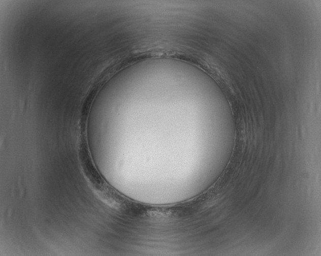 X0000075360690200609080839