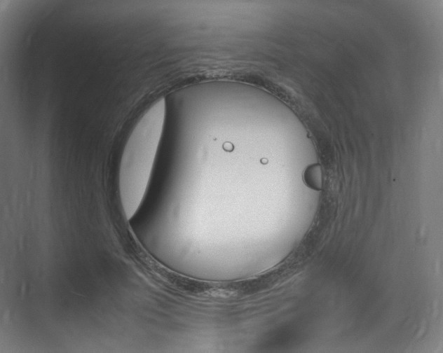 X0000075360691200609080839