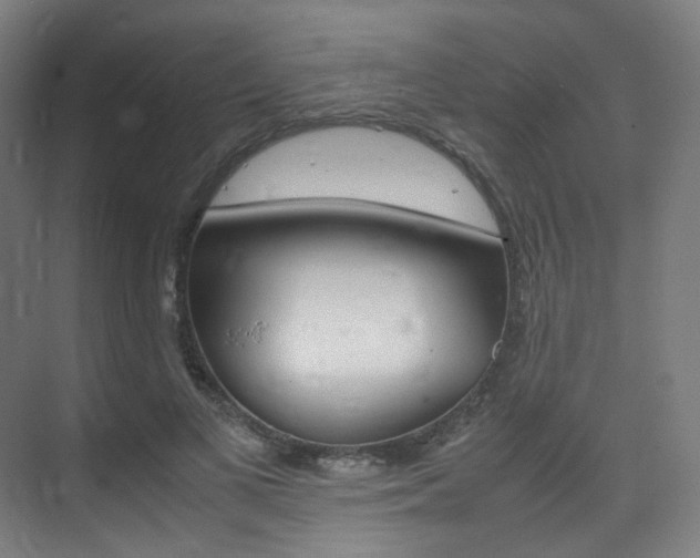 X0000075360693200609080839