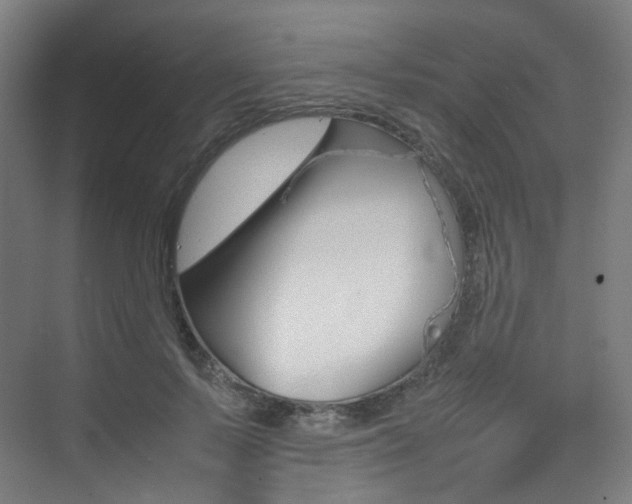 X0000075360695200609080839