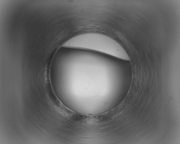 X0000075360696200609080839