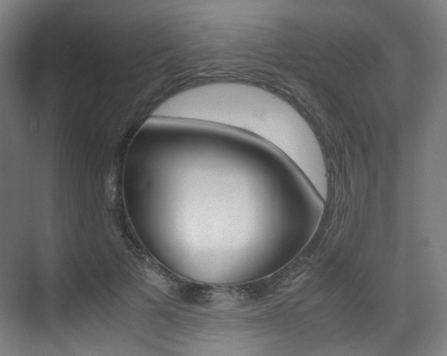 X0000075360697200609080839