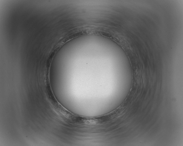 X0000075360698200609080839